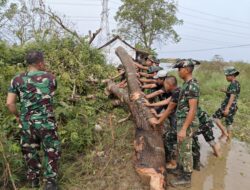 Koramil 04 Babelan Bangun Infrastruktur Jembatan Perintis dan Armco di Babelan, Akses Petani Makin Lancar