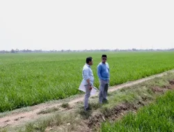 Tinjau Kawasan Industri di Indramayu, Menteri Nusron Pastikan Lahan Tidak Masuk ke LSD